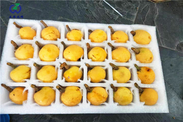 淺聊珍珠棉水果托使用壽命久嗎？